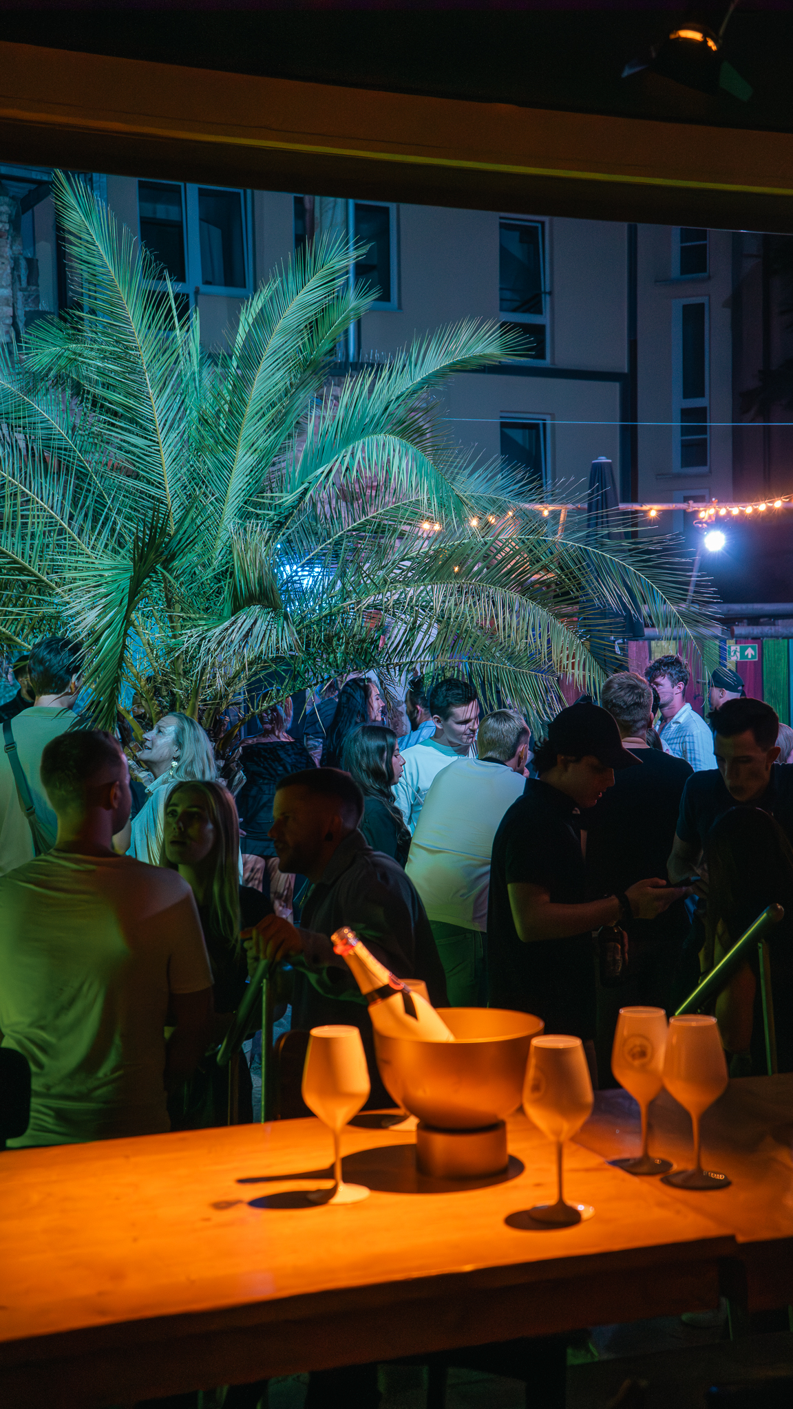 Outdoor-Abendveranstaltung mit Champagner im Kübel, Palme und Lichterketten